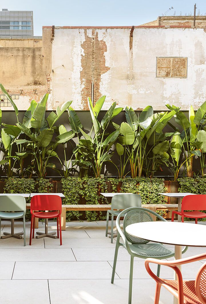 Terrace with colourful chairs, round tables, and tropical plants next to a worn wall.